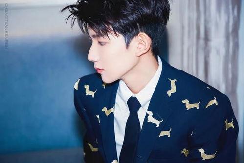 王源八卦大爆料视频大全,视频大全带你探秘明星私生活  第3张