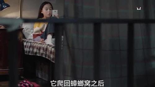 小朋友在成都爆料视频,揭秘童趣成都生活点滴 第1张 小朋友在成都爆料视频,揭秘童趣成都生活点滴 第1张