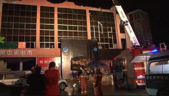 贵港宠物店爆料事件最新,揭露行业黑幕，宠物权益引关注  第2张